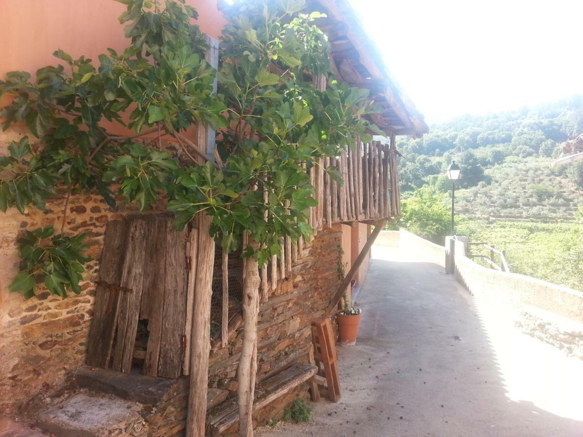 Villa Sierra de Gata EL MIRADOR DE ROBLEDILLO Robledillo De Gata Exterior foto